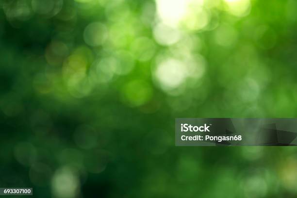 Autumn Bokeh Background Stock Photo - Download Image Now - Green Color, Environmental Conservation, Defocused