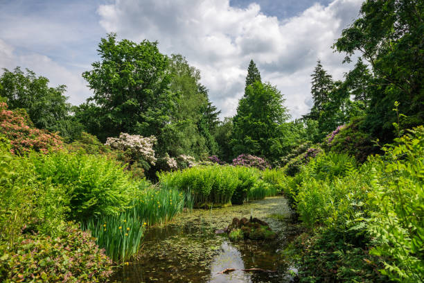 istock English Public Garden in Summer 693307780