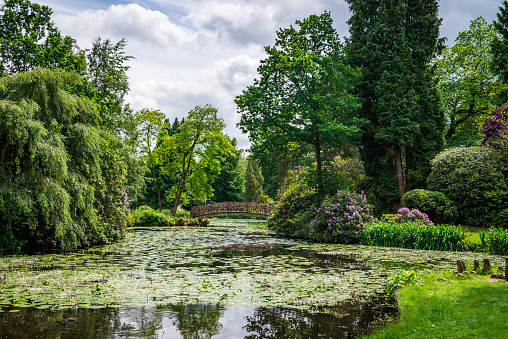 Big Lake in Beautiful English Garden in Summer, England, UK