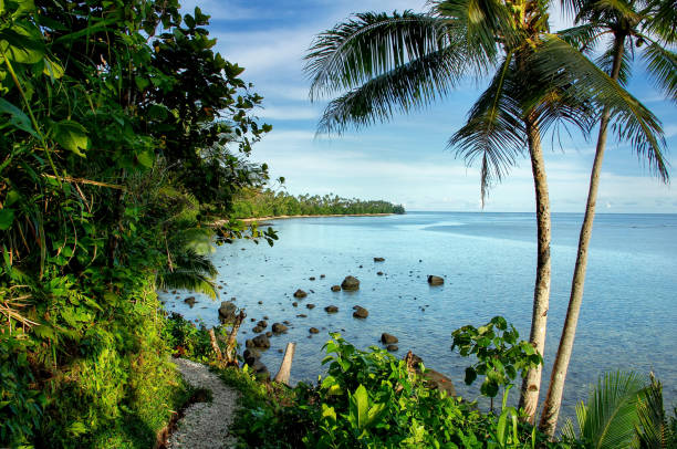 Ocean view along Lavena Costal Walk on Taveuni Island, Fiji Ocean view along Lavena Costal Walk on Taveuni Island, Fiji. Taveuni is the third largest island in Fiji. taveuni photos stock pictures, royalty-free photos & images
