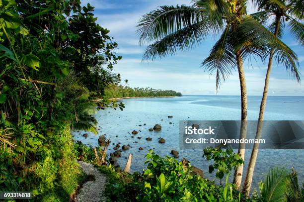 Ocean View Along Lavena Costal Walk On Taveuni Island Fiji Stock Photo - Download Image Now