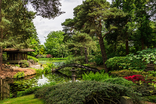 Beautiful English Public Garden in Summer, England, UK