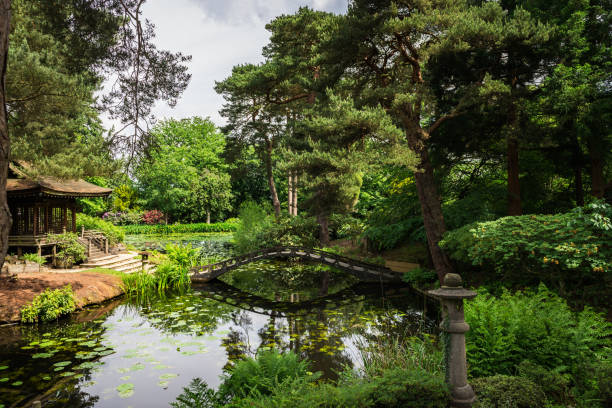 istock English Public Garden in Summer 693318600