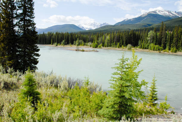 istock Athabasca River in the Sprin,Jasper, Canadian Rockies, Alberta, Canada 693319176