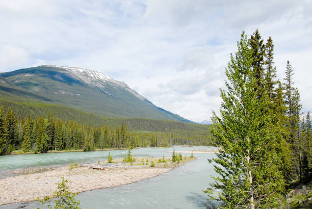 istock Athabasca River in the Sprin,Jasper, Canadian Rockies, Alberta, Canada 693321618