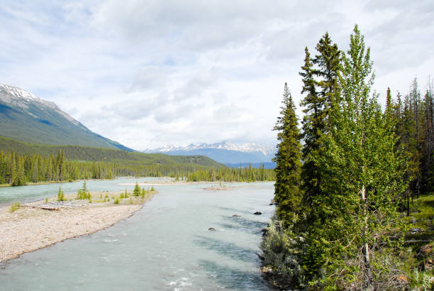 istock Athabasca River in the Sprin,Jasper, Canadian Rockies, Alberta, Canada 693321774