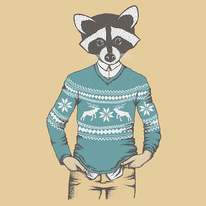 Raccoon vector illustration concept. Raccoon in human sweater, sweatshirt
