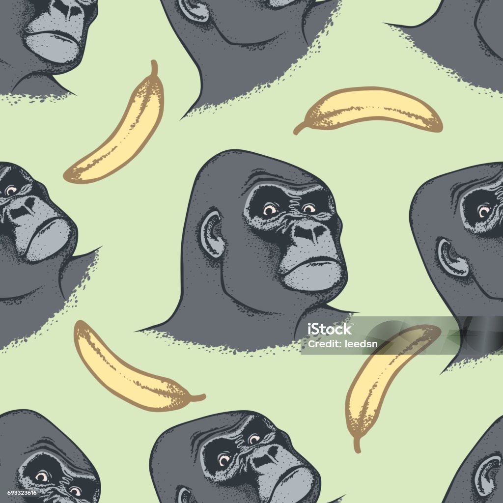 Vector Monkey Concept Vector Monkey Concept. Seamless Pattern of Hand draw head of african gorilla. The most dangerous ape and biggest monkey Banana stock vector