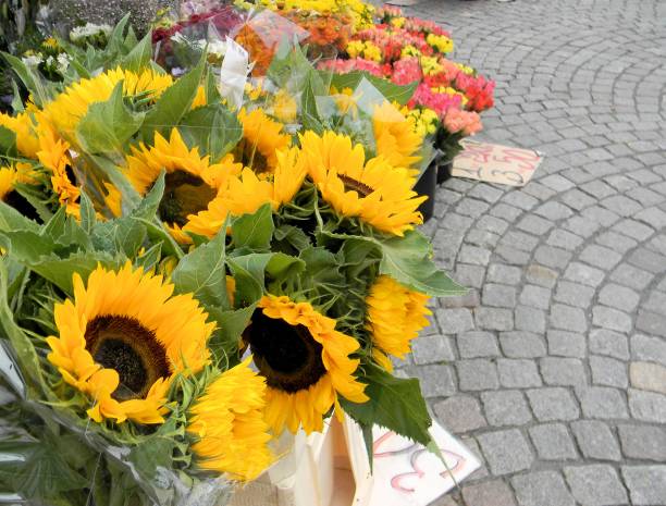 istock Sunflowers for Sale 693332826