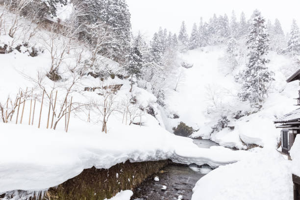 istock winter scenic with canal 693336560