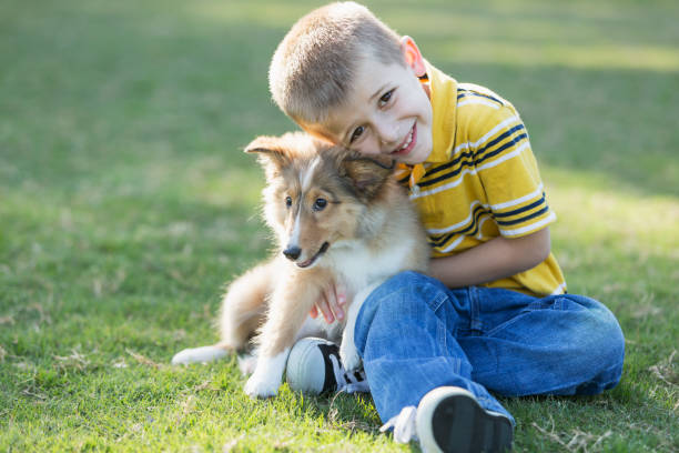 istock Boy hugging sheltie puppy 693339914