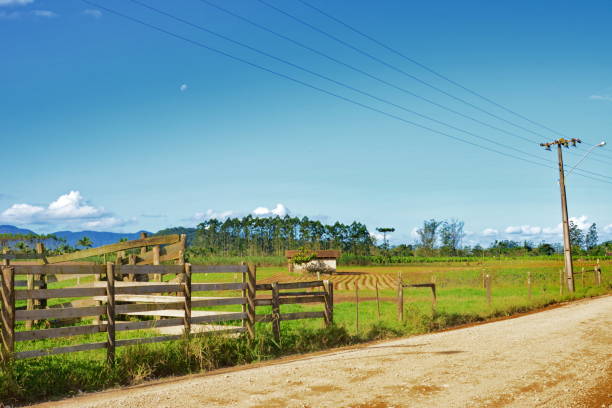 istock Rural landscape of Joinville 693340582