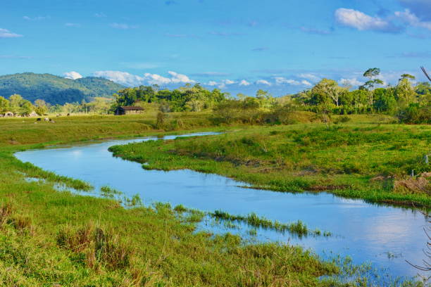 istock Rural landscape of Joinville 693344866