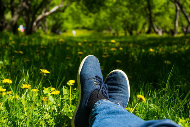 istock Feet in sneakers on grass background 693349368