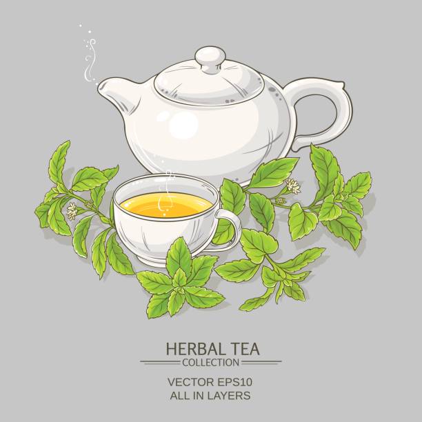 기업간 차 그림 - stevia tea herbal tea herb stock illustrations