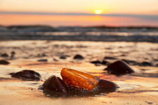 Amber stone on the beach. Precious gem, treasure. Baltic Sea Amber stone on the beach at sunset. Precious gem, treasure concept. Baltic Sea, Poland. amber stock pictures, royalty-free photos & images