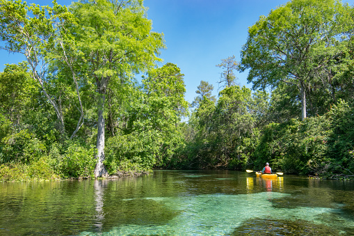 A lone kayaker paddles the Weeki Wachee River in  Florida.