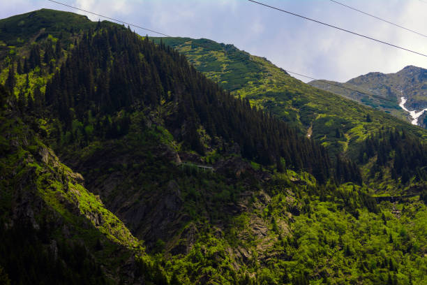 istock Carpathian Mountain, Fagaras 693363062