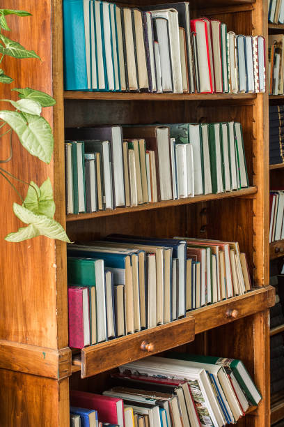 istock Old books on a wooden shelf 693370376