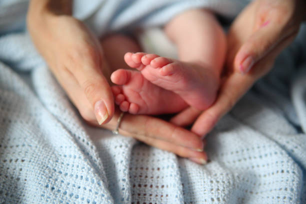 istock Baby feet in mommy's hands 693370482