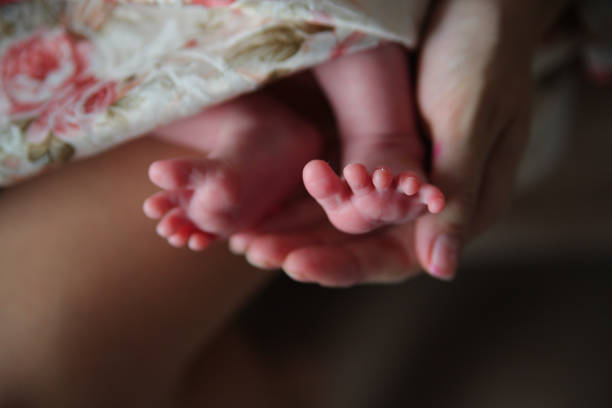 istock Baby feet in mommy's hands 693370552