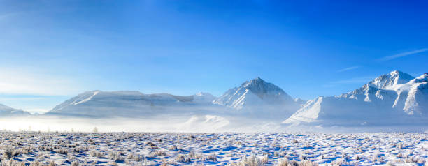 Peaceful winter scene