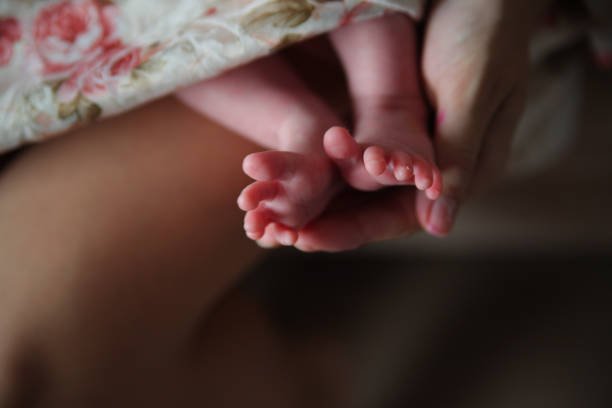 istock Baby feet in mommy's hands 693372916