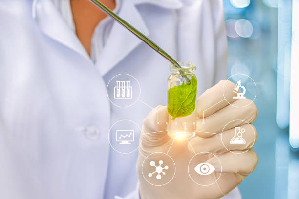 istock Biotechnology researcher concept or biotech science. 693373532