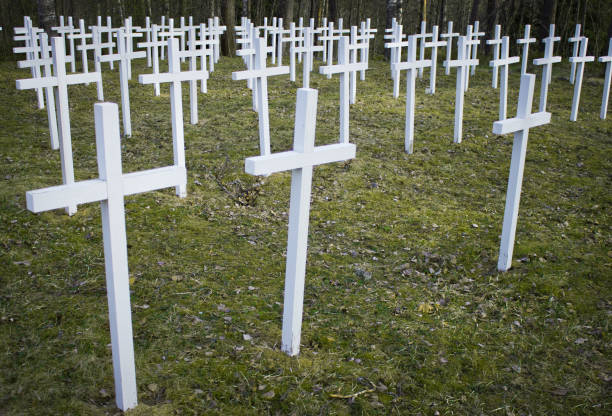 istock White crosses in the cemetery 693374102