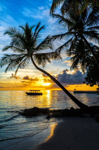 istock Sunset in the Maldives 693377868