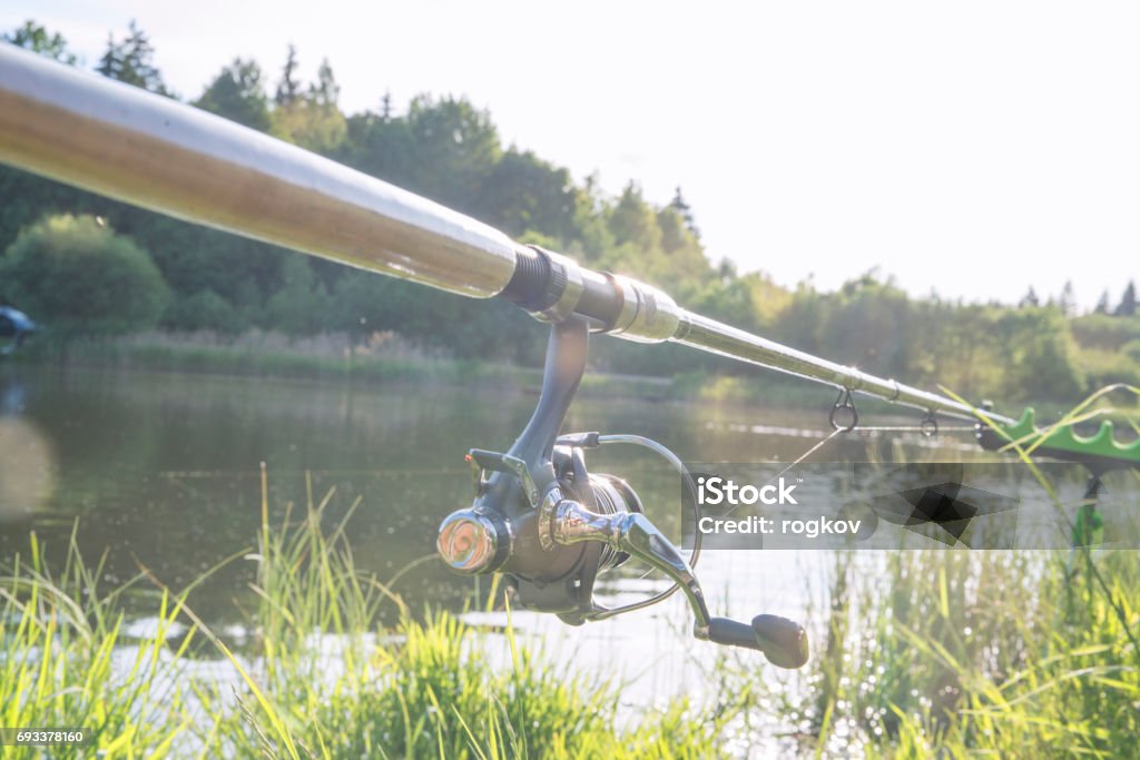 The fishing-rod standing on a support thrown in water for fishing. 2017 Stock Photo