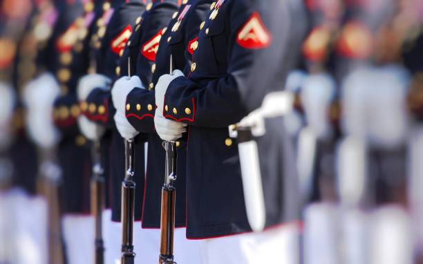 vereinigte staaten marinekorps - armed forces us veterans day military saluting stock-fotos und bilder