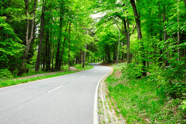 istock curvy road uphill in green forrest 693385048