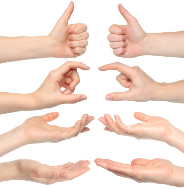 istock Collage of woman hands 693387738