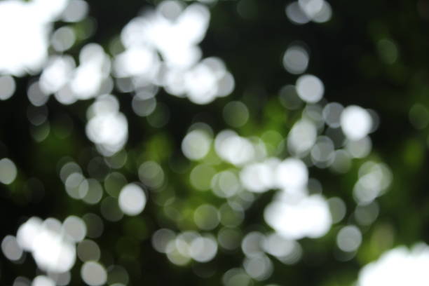 istock Abstract blurred outdoor garden for background 693388286