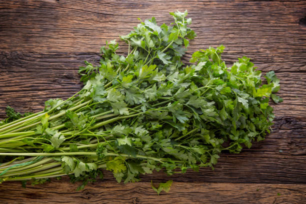 istock Parsnips leaves. Parsnips leaves on rustic oak table 693389534