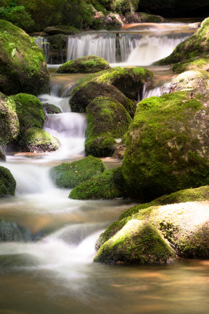 istock Mountain Stream With Long Exposure Of Waterfall 693391632