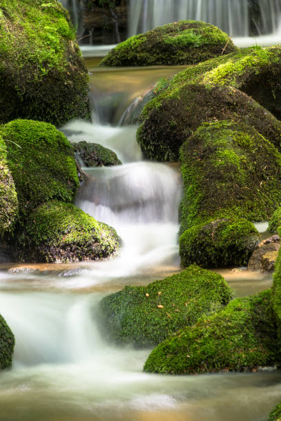 istock Mountain Stream With Long Exposure Of Waterfall 693391664