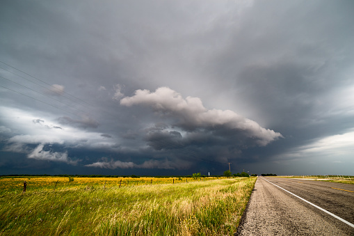 A dramatic sky with dark clouds against a field of summer flowers and a supercell thunderstorm rolls across the Texas plains.