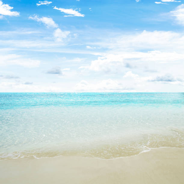 istock Clear sky and island beach 693403358