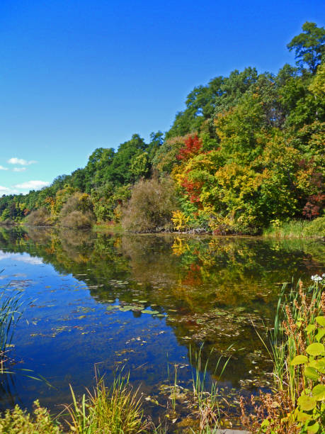 モホーク川秋ニューヨーク - mohawk river 写真 ストックフォトと画像