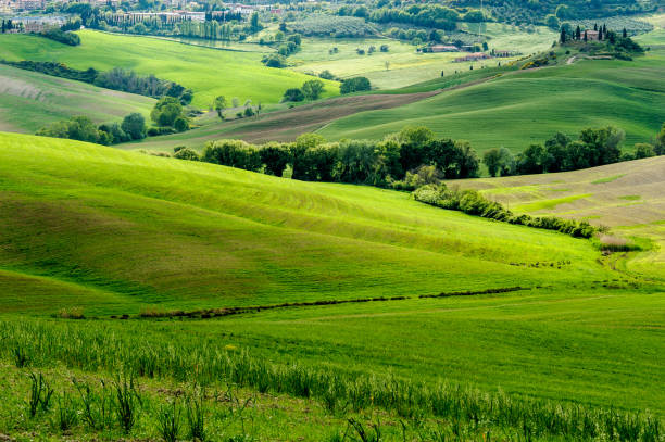 istock Brfight Green in Tuscan valley 693413650