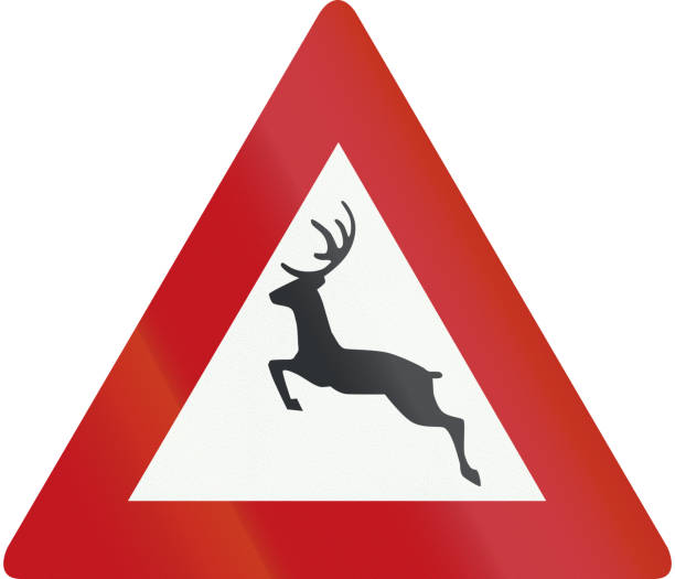 istock Netherlands road sign J27 - Wild animals 693416798