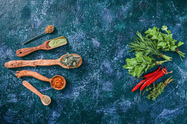 Fresh herbs opposite dried ones Chili peppers, cilantro, tarragon thyme and lemon balm in the forms of fresh herbs and of dried spices  over blue spotty background. Top view tarragon cutting board vegetable herb stock pictures, royalty-free photos & images