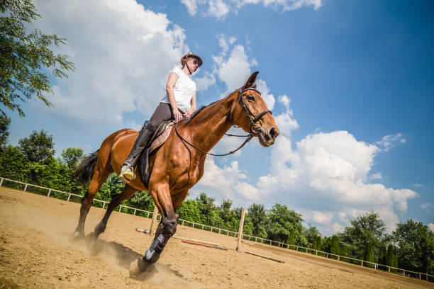 young female riding a horse - serbia horse nature landscape imagens e fotografias de stock