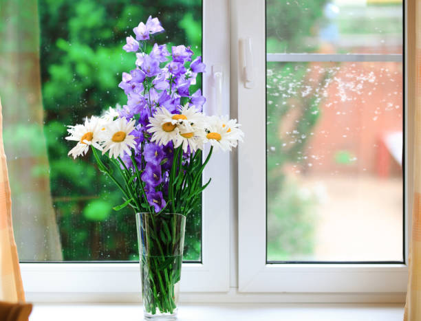 istock Chamomiles and campanulas on green summer background 693432616