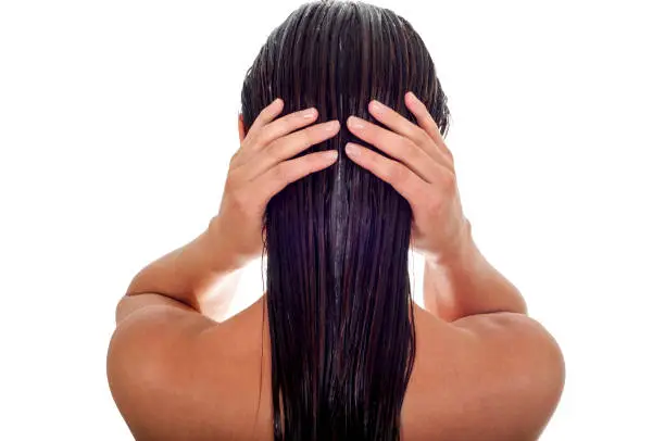 Photo of Hair care concept. Back view of woman with long wet hair, white background
