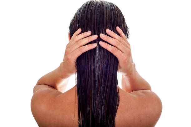 koncepcja pielęgnacji włosów. widok z tyłu kobiety z długimi mokrymi włosami, białym tłem - mokry włos zdjęcia i obrazy z banku zdjęć