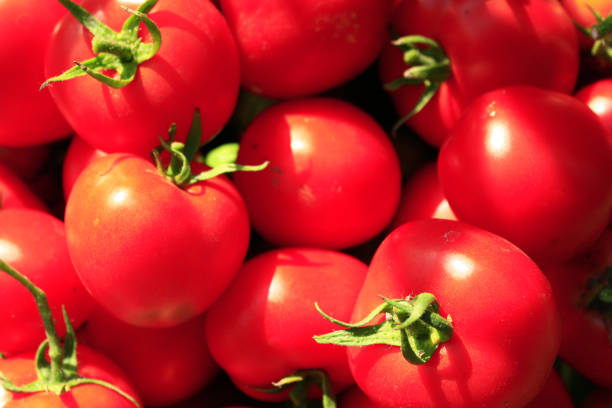 istock rich crop of red tomatoes 693433474