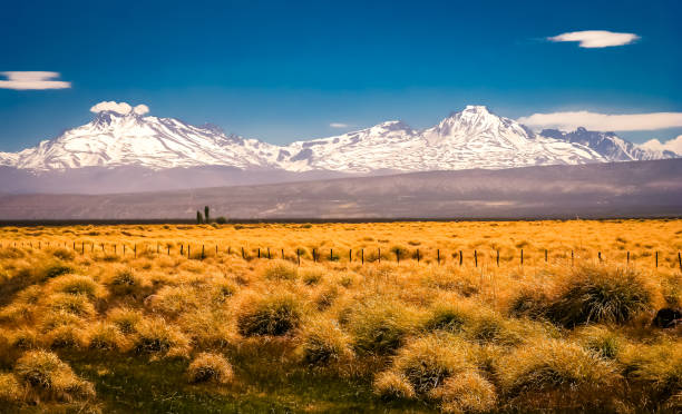 istock Patagonian grassland and Andes 693436202